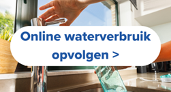 Verbruik online